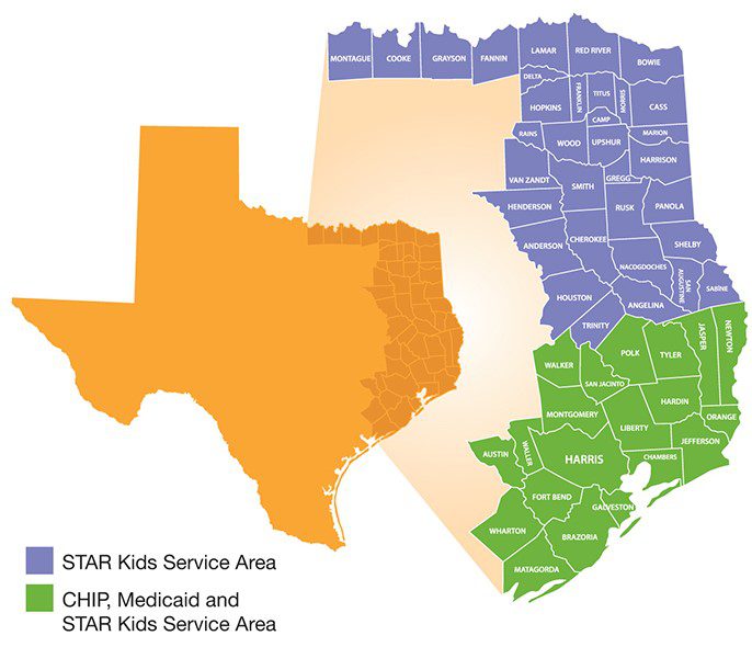 https://www.texaschildrenspeople.org/wp-content/uploads/2023/06/healthplanServiceMap.jpg